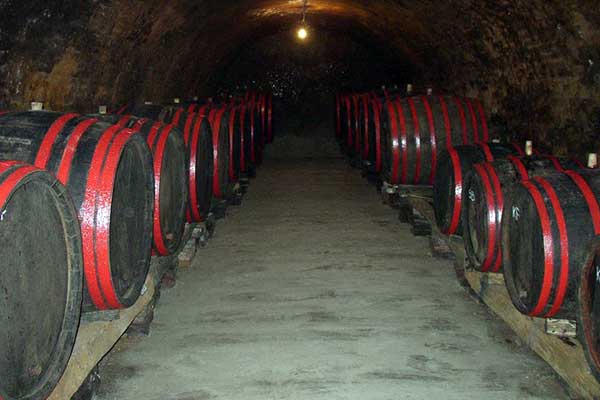 portal o vinu