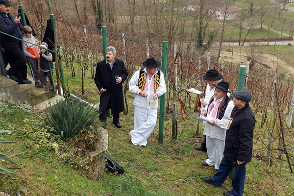 portal o vinu
