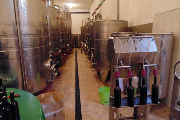 portal o vinu