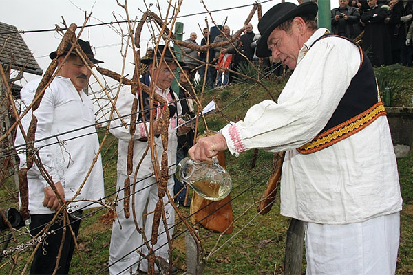 portal o vinu