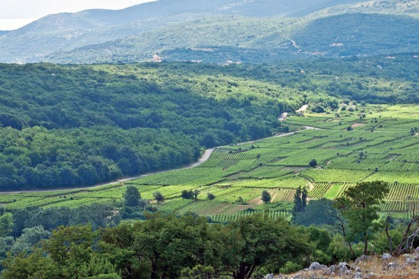 portal o vinu