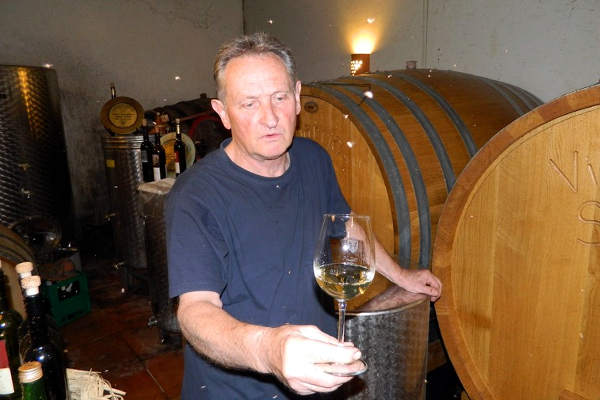 portal o vinu