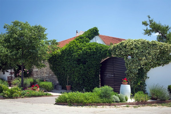 portal o vinu