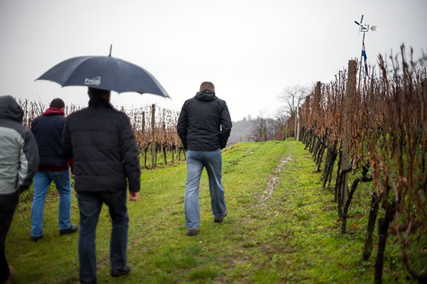 Udruga Dekanter u jednom danu posjetila tri vinogorja portal o vinu