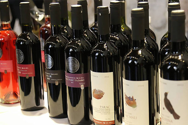 Službeno otvoren 'Dubrovnik festiwine' portal o vinu