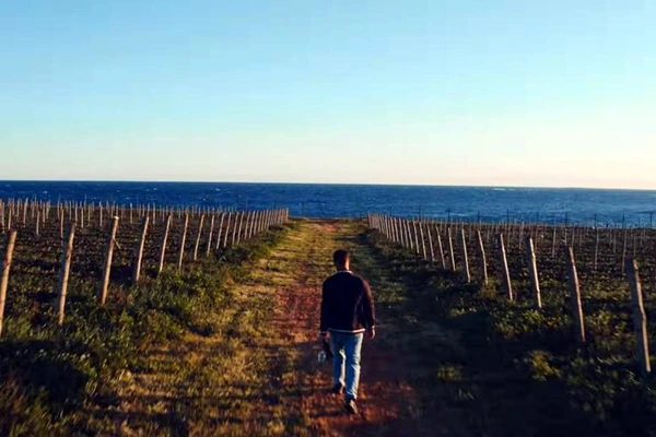 u šetnji vinogradom