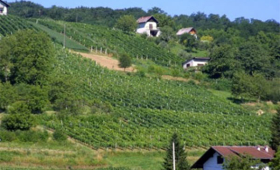 portal o vinu