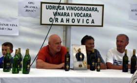 portal o vinu