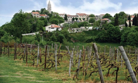 panorama