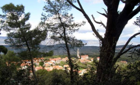 portal o vinu