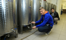 portal o vinu