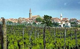 portal o vinu