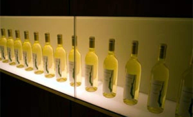 portal o vinu