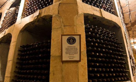 portal o vinu