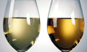 portal o vinu