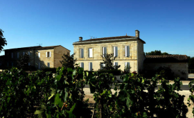 portal o vinu