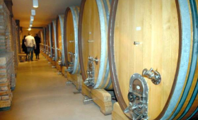 portal o vinu