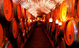 portal o vinu