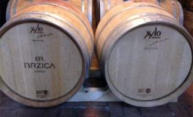 portal o vinu
