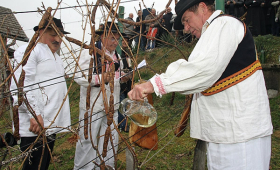 portal o vinu