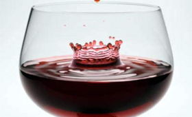 portal o vinu