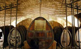 portal o vinu