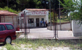 portal o vinu