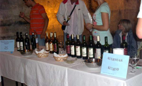 portal o vinu