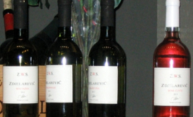 portal o vinu